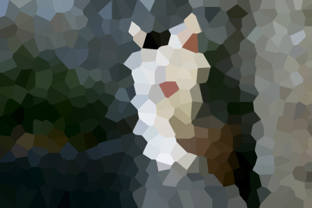 ׹̫С˵ȫ-ݼĶ