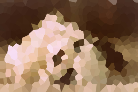 ʱС˵ȫԽִȦƼ½