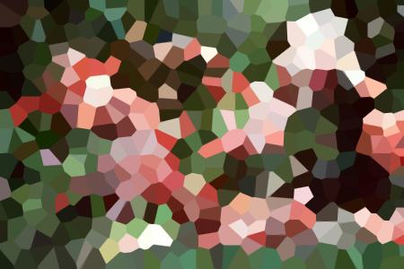 ٳ費С˵ȫ-ٳ費ݰ