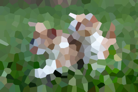 ˼һֱ-С˵ȫĶ