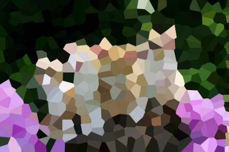 2֮