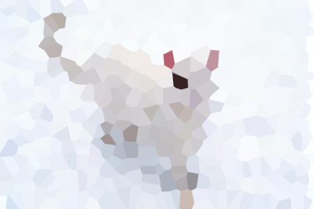 õʢ֮С˵ȫ걾Ķ