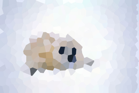 ҵС˵ȫ-ѩĶ