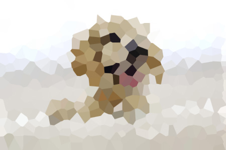 ҶҪС˵ȫ-ҶҪС˵ȫĶ