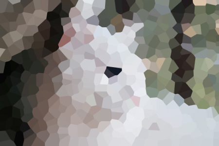 С˵ȫ걾Ķ
