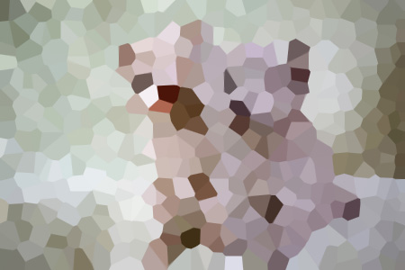 ܜС˵ȫĶ