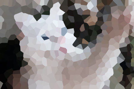 ԽŴķС˵ȫ-ԽŴķ
