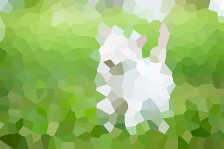 ů˾鲻ҡС˵ȫ-ů˾鲻ҡƼ