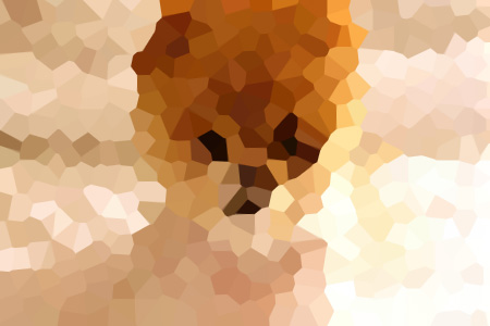 һֲӵа걾ľʮĶ