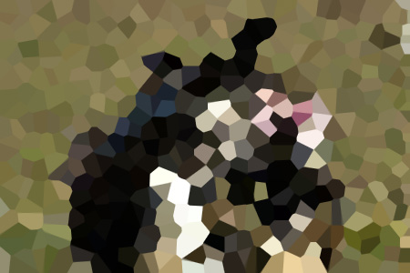 ³ҳ½Ե-С˵ȫĶ