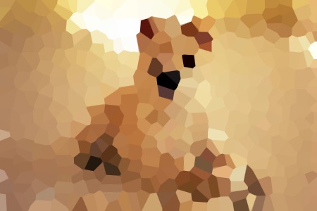 ϸС˵ȫ--ϸС˵ȫƼ