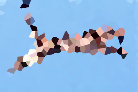ͬ۶֪С˵ȫС۹˶Ķ