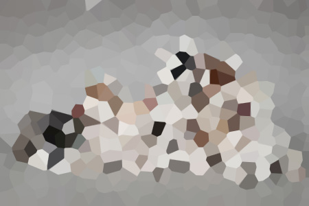 ɵۻĶС˵Ƽ-ɵۻĶ()걾ȫĶ