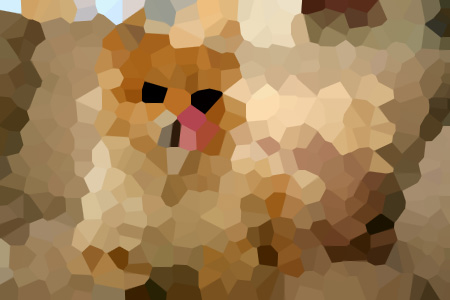 ϸС˵ȫ-