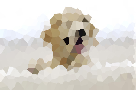 ¶С˵ȫĶ
