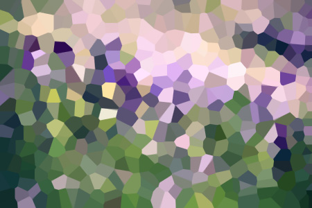ƣִ飡