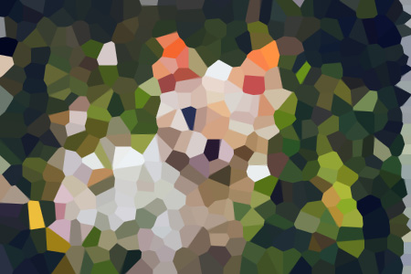 żС˵ȫ-Ķ