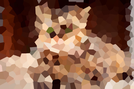 ȫ걾پСī˾Ķ
