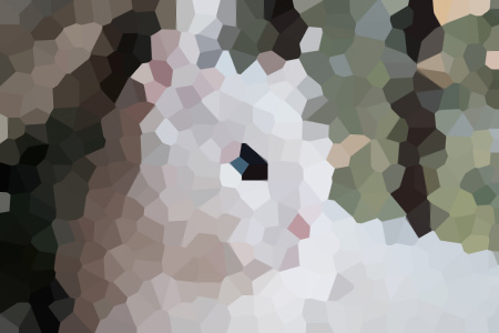 Ѫе޽С˵ȫ걾Ķ