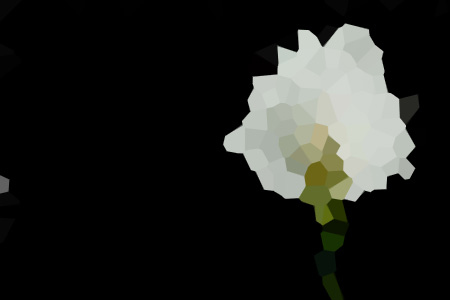 ܳС˵ȫĶ