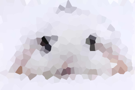 Ľ-ȻС˵ȫ