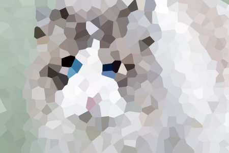 ǰ೾С˵ȫ-೾С˵ȫ