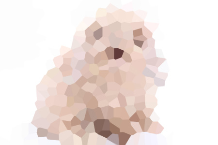 õƼ-ԻС˵ȫ