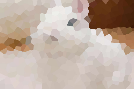 ΪС˵ȫ˰˻ŷĶ