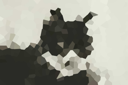ĩ