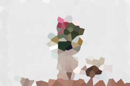 Ƽ-С˵ȫ