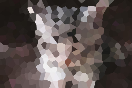 ֮׻𳤵Ŀѧӵ