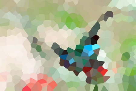 2004̳