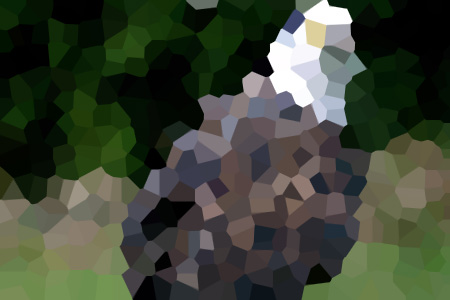 ܵĳС˵ȫ֮Ķ