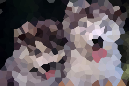 ҶС˵ȫҶƼ½