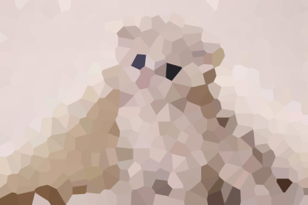˵һ߸һû˯С˵ȫ