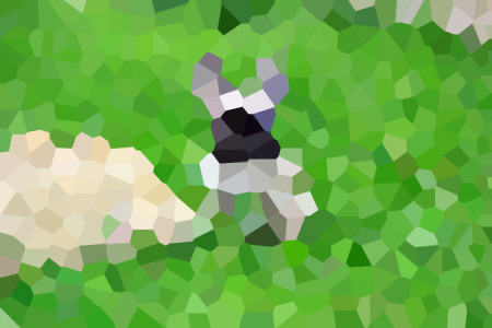 ٻ֮