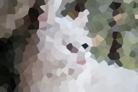 żС˵ȫ-Ķ