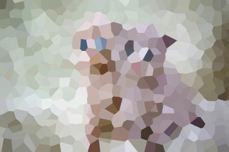 ůƼ-˳½С˵ȫ