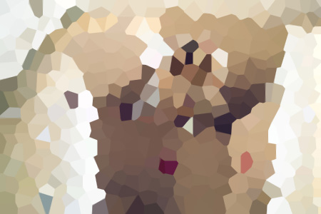 ƽոС˵ȫ-