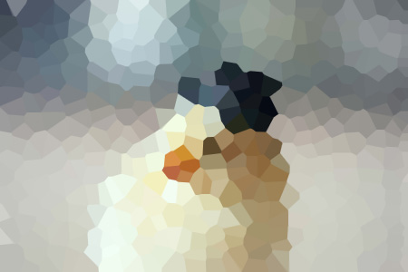 ˼ѣΪӮ