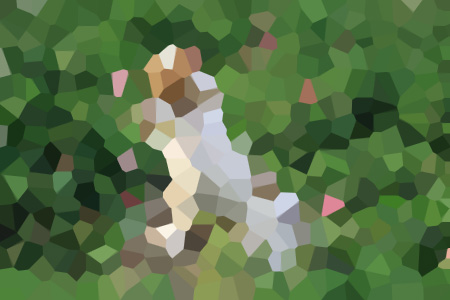 ̫ǰ-С˵ȫ