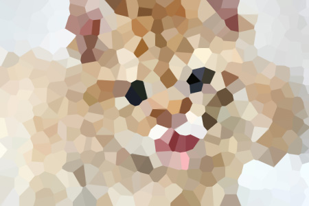 ѩС˵ȫ-