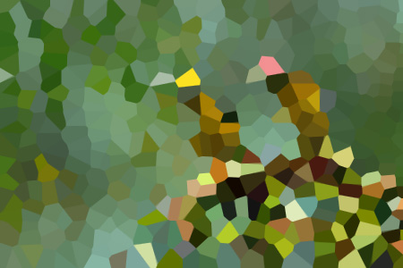 ǿƺĸ-ո۶èС˵ȫ