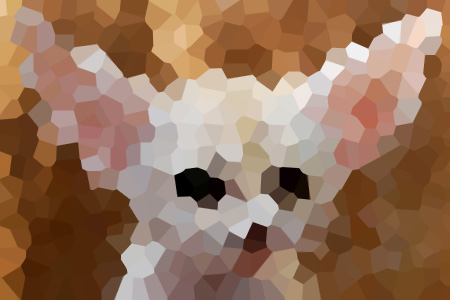 츴գϷ