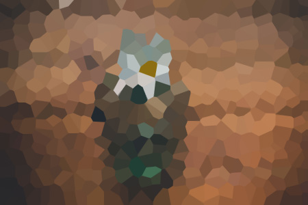 B¾걾Ķ