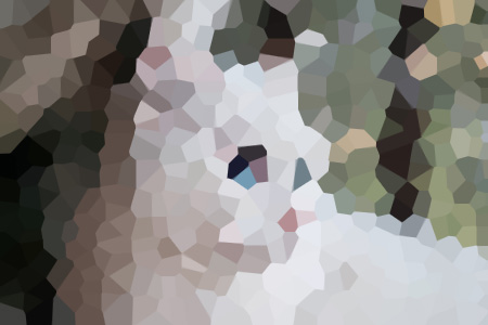 С˵ȫ걾Ķ