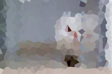 żԷ˾С˵ȫ-Է˾Ķ