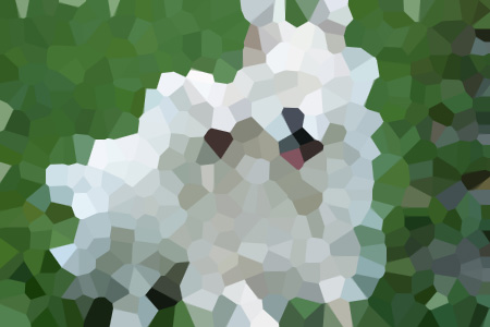 ݸΪƼ-С˵ȫ