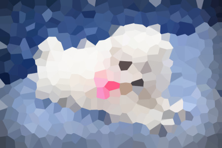 ͼɭС˵ȫĶ