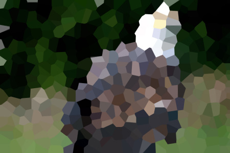 Ҷ½ҢС˵ȫǹƼ½